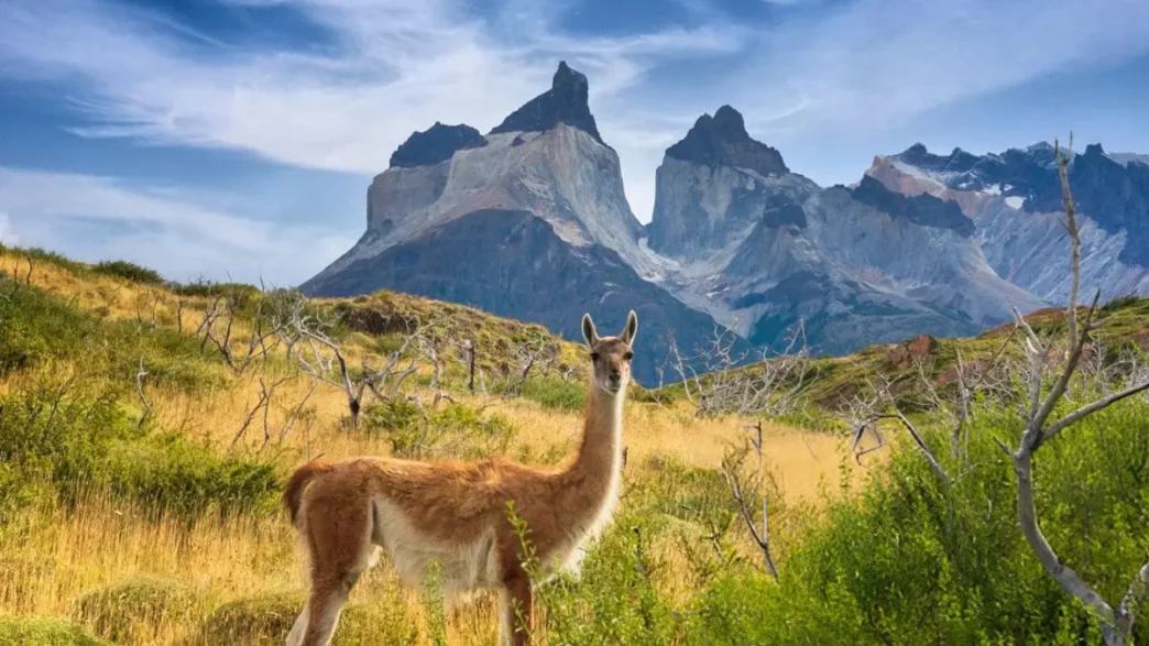 National Park