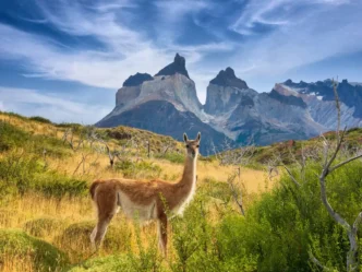National Park