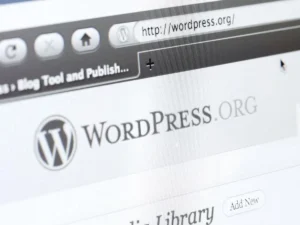 WordPress SEO